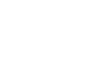 Petya's Look logo