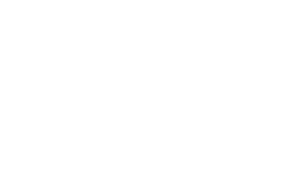 Castelmar logo