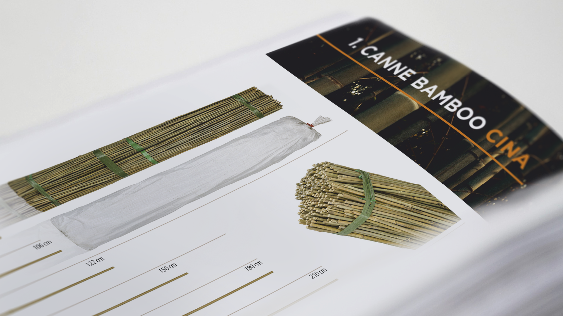 Immagine in evidenza per RGB Bamboo Catalogue