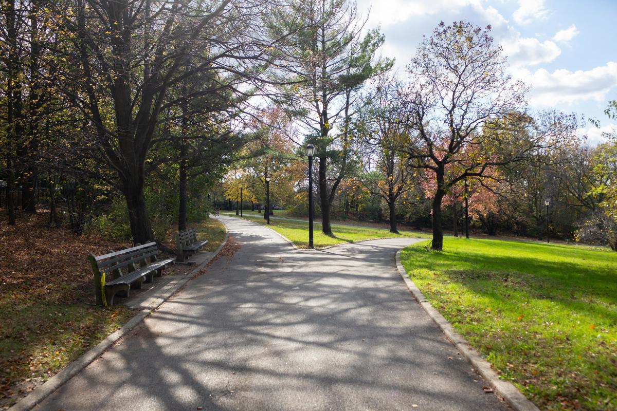 silver-lake-park-tompkinsville-si-nyc-silver_9969