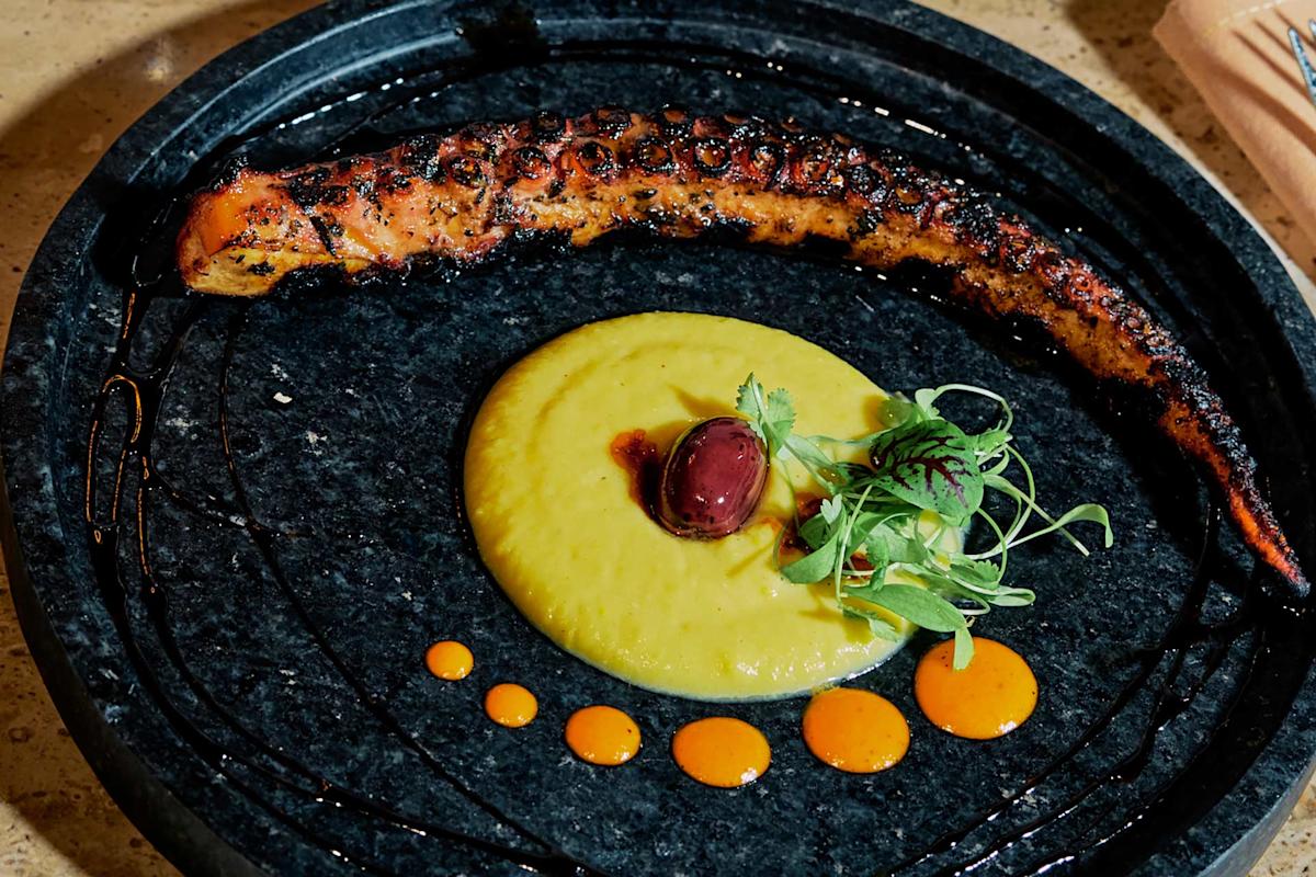 A grilled octopus tentacle on a black plate with a creamy yellow purée, a dark olive, microgreens, and dots of orange sauce artfully arranged.