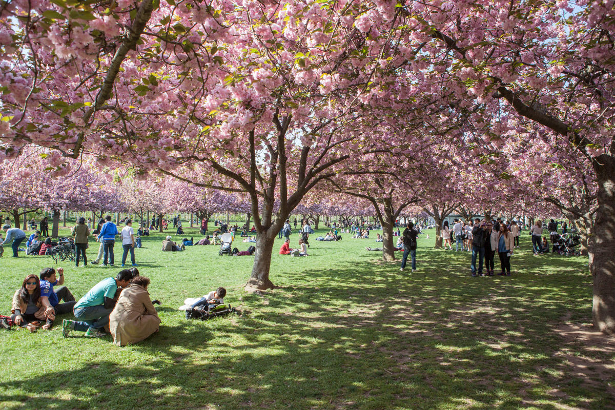 brooklynbotanicgarden_taggeryanceyiv_6907