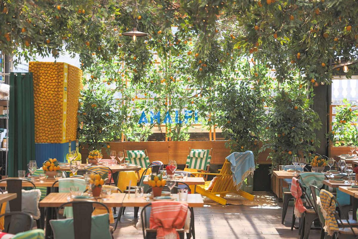 A bright, airy restaurant with leafy green plants and citrus trees, colorful cushions on chairs, and tables set for dining. Sunlight streams in, creating a cheerful, inviting atmosphere.