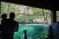 bronxzoo_christopherpostlewaite_8065_7b849865-5056-a36f-231dd470a355a2c6