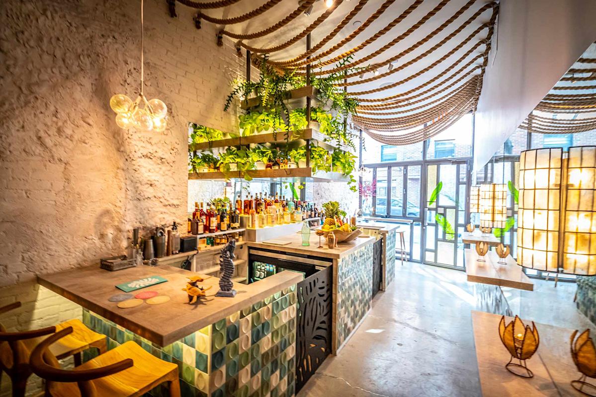 A bright, modern bar with hanging plants, bottles on shelves, green and blue tiled counters, rope decorations on the ceiling, and large windows letting in natural light.