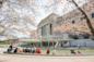 People seating outside the Brooklyn Museum under cherry blossom tree on a sunny day in Brooklyn, NYC
