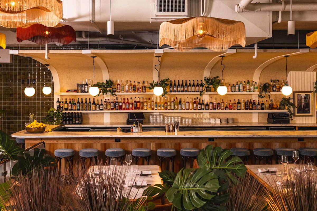 A stylish bar with hanging fringe lamps, round pendant lights, a long wooden counter with blue stools, and shelves stocked with bottles. Green plants decorate the space, creating a warm, inviting atmosphere.