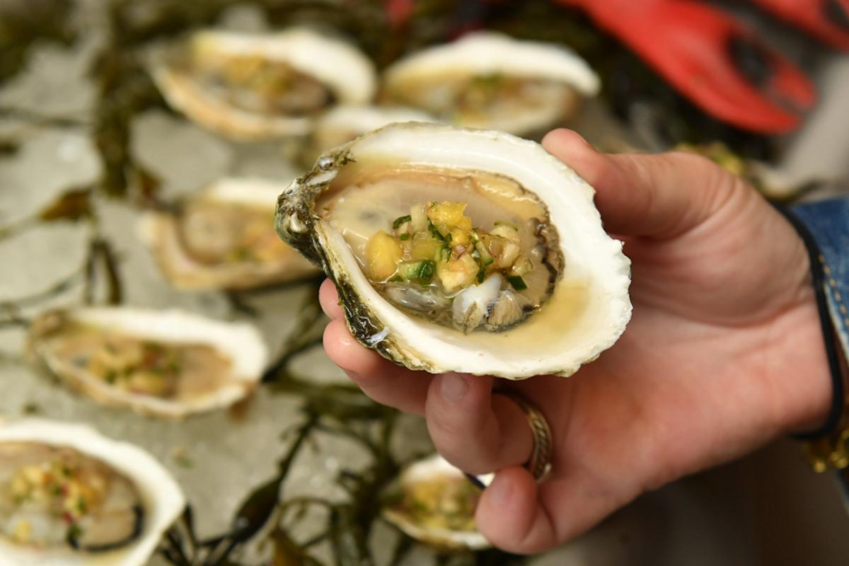 A hand holds a fresh oyster topped with a chopped vegetable garnish, with more garnished oysters and seaweed on a tray in the background.