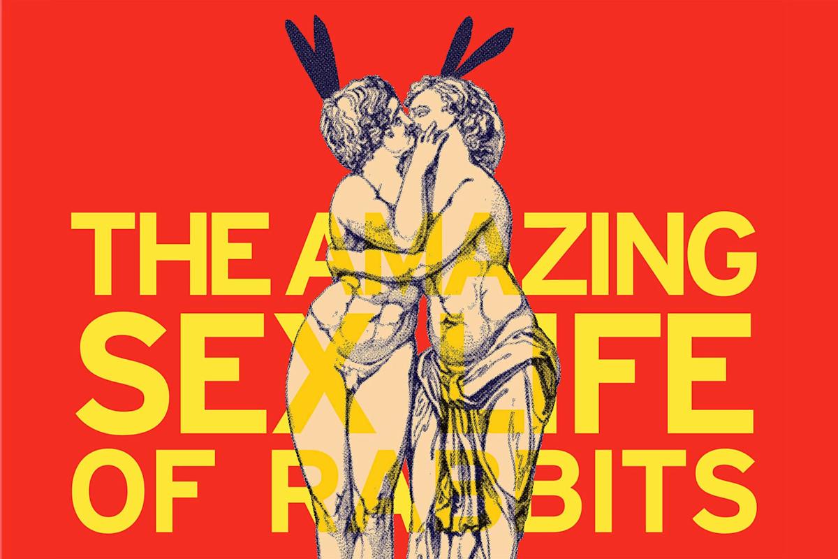 Two classical statues with black rabbit ears kiss in front of large yellow text on a red background that reads, "THE AMAZING SEX LIFE OF RABBITS.