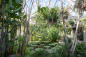 brooklyn-botanic-garden-02-tagger-yancey-iv