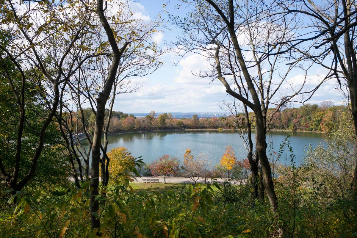 silver-lake-park-tompkinsville-si-nyc-silver_9982