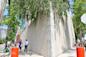 Outside of Noguchi Museum, Queens, New York City, gray building with green leaves from trees hanging over the building with the Noguchi Museum sign.