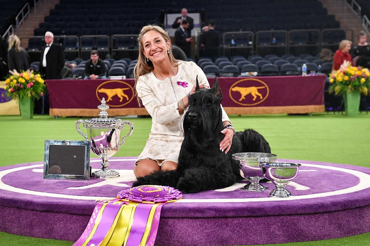 The-Westminster-Kennel-Club-Dog-Show-Manhattan-NYC-Courtesy.jpg