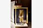 model room