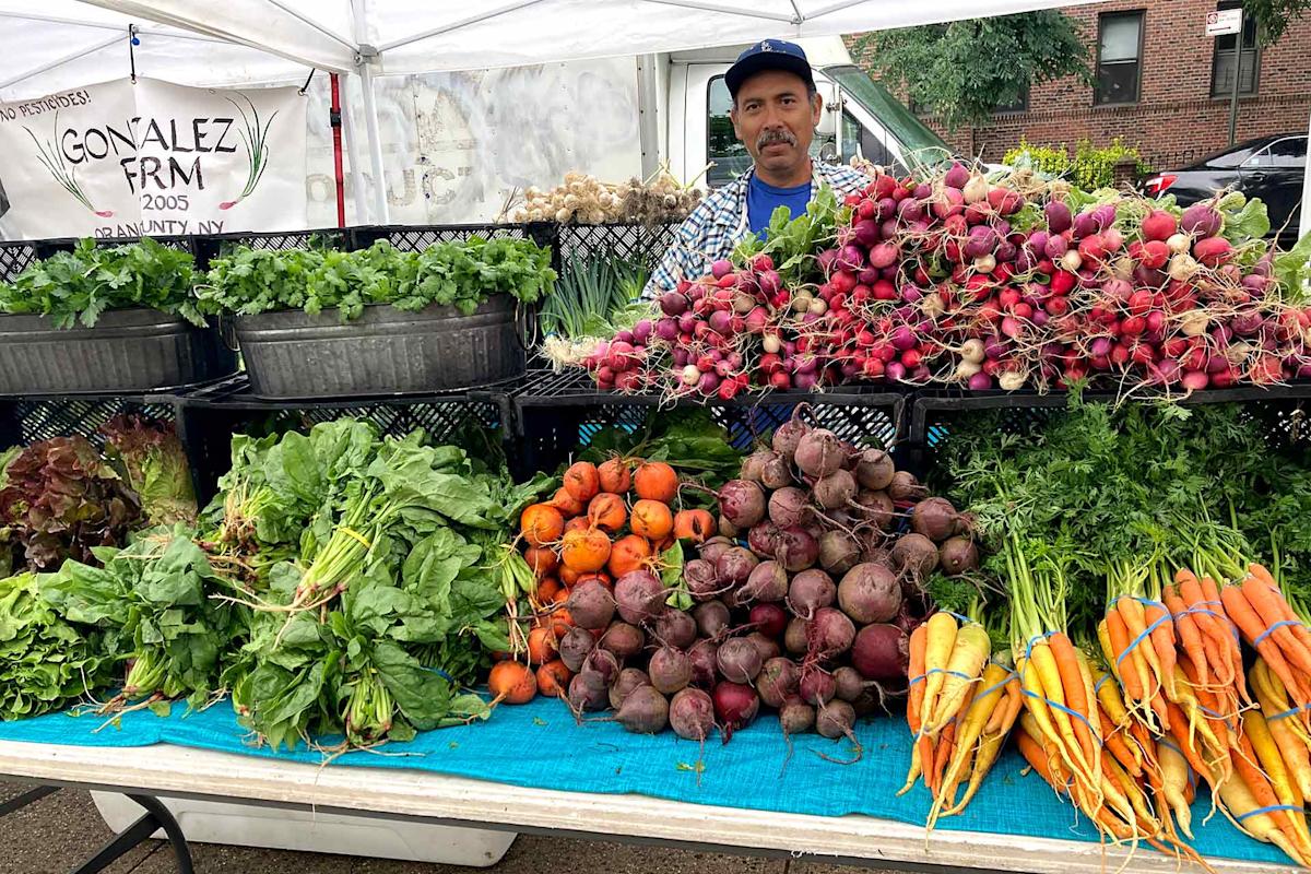 A vendor stands behind a market stall displaying fresh vegetables, including leafy greens, bunches of carrots, beets, radishes, and cilantro, with a “Gonzalez Farm” sign in the background.