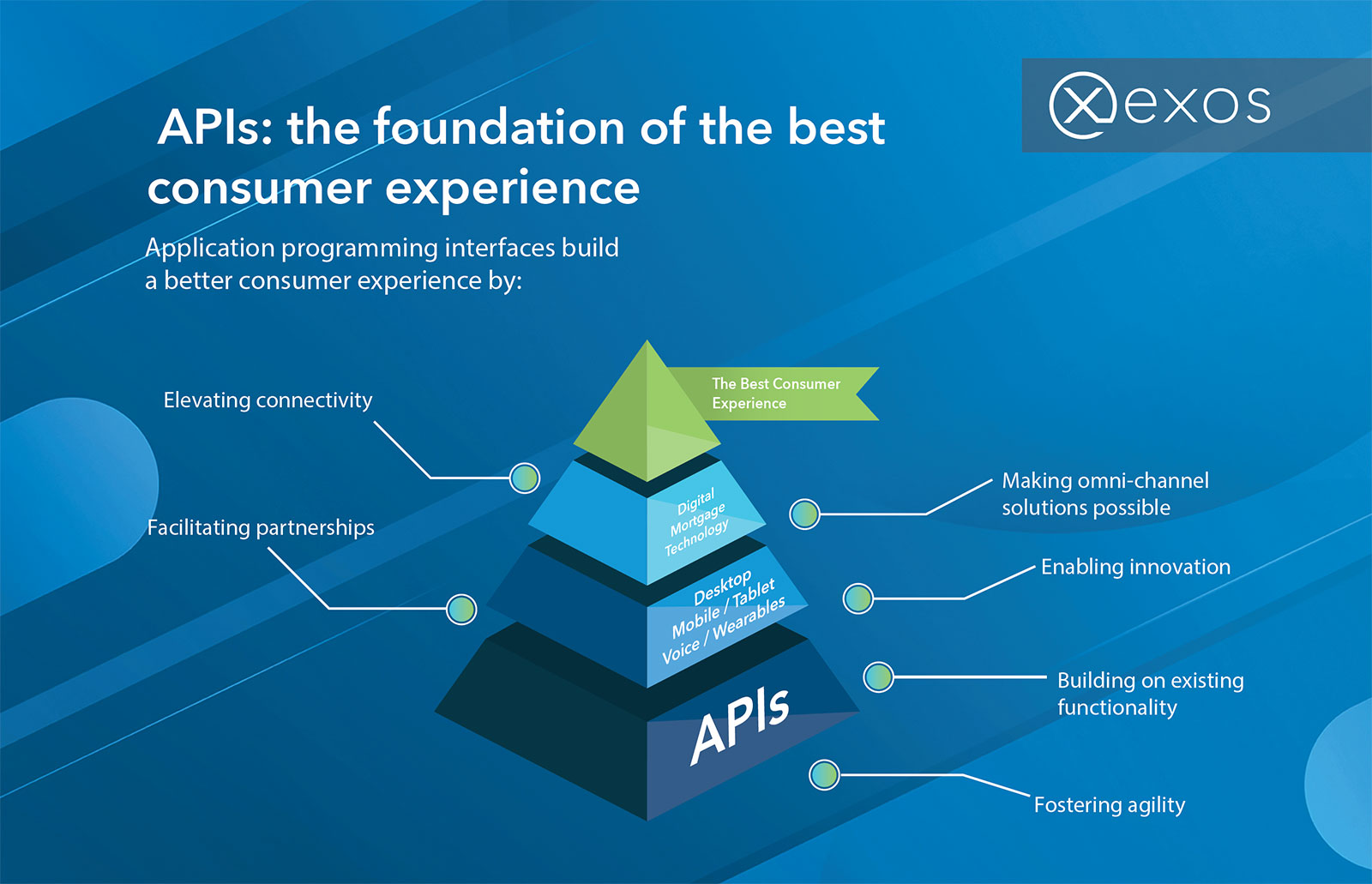 APIs Infographic