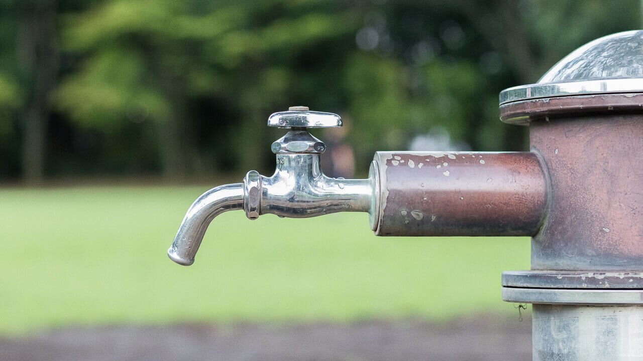 歳をとると感受性が鈍くなるのか