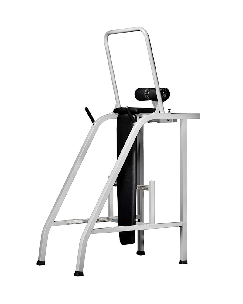 413d.jpg – Fristående brutalbänk – Nordic Gym