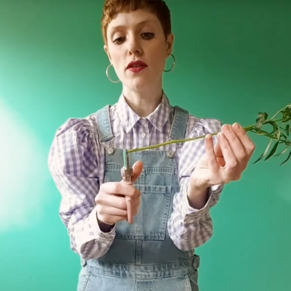 Harriest holds a stem up and shows exactly where to trim with a pair of scissors.