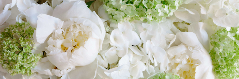 white roses and waxflowers