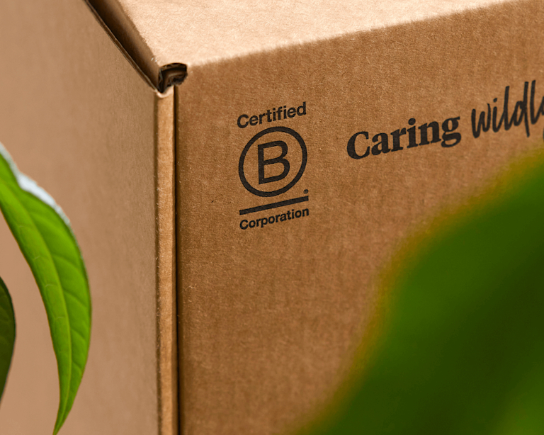 Bloom & Wild recyclable packaging with the B Corp logo.