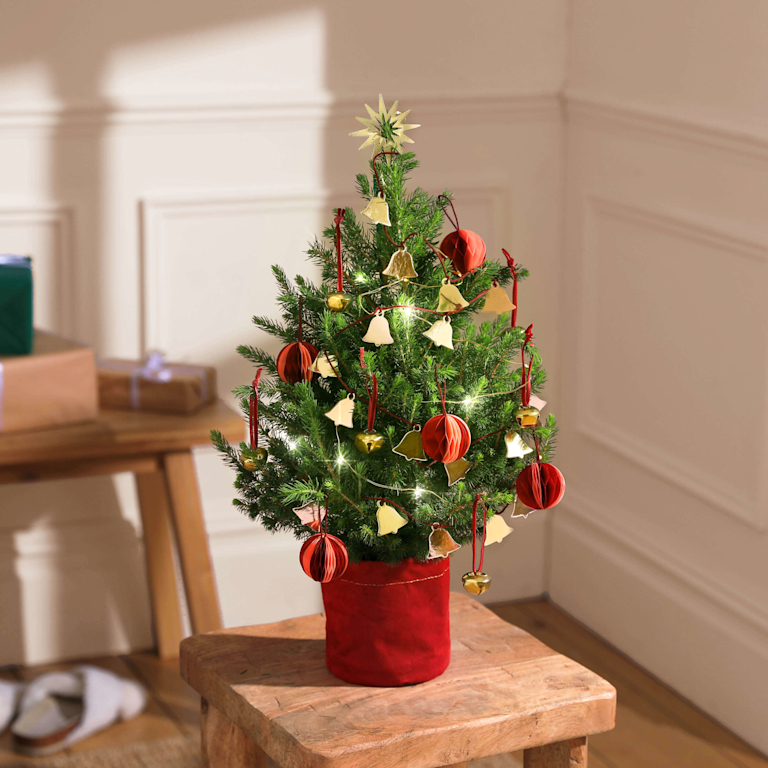 A miniature Christmas tree, decorated with gold bells and red baubles.