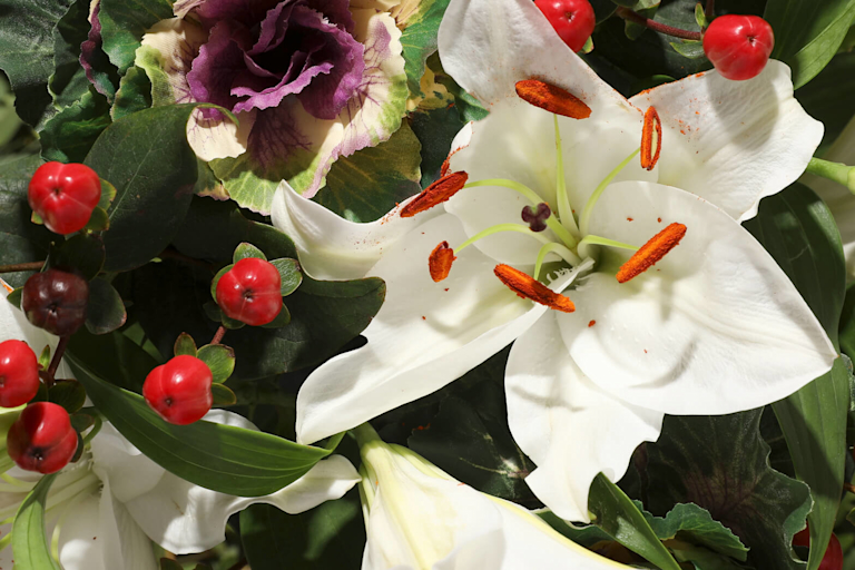 British Lilies