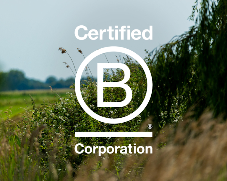 A green field full of long grasses. Over the top is the B Corporation logo.