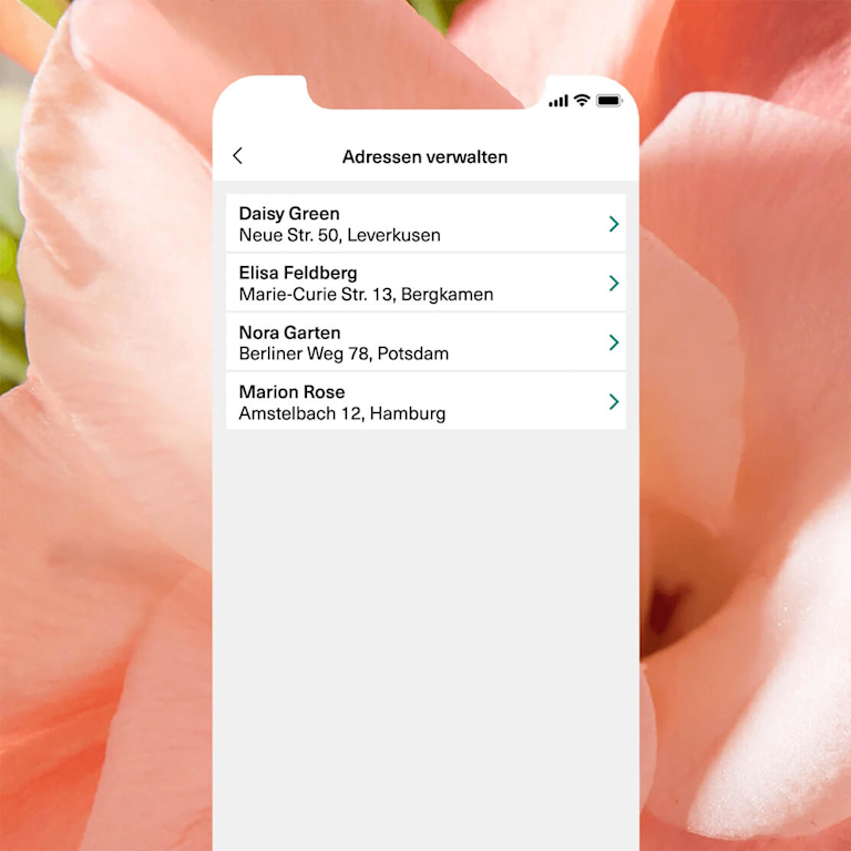 Ein Handybildschirm, auf dem die App zu sehen ist