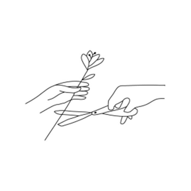Eine Illustration einer Hand, die einen Blütenstiel schräg mit einer Schere trimmt