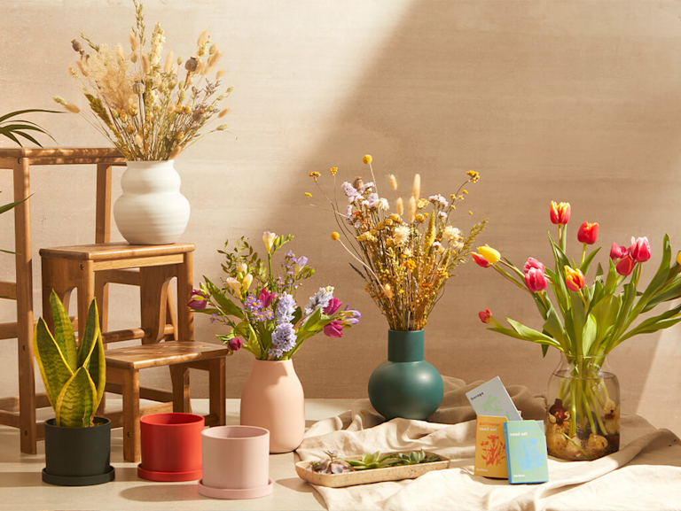 A mix of fresh and dried blooms, plants, plant pots and seed packets are sat next to each other in a neutral coloured room. One of the flower vases has been placed on a wooden step stool.