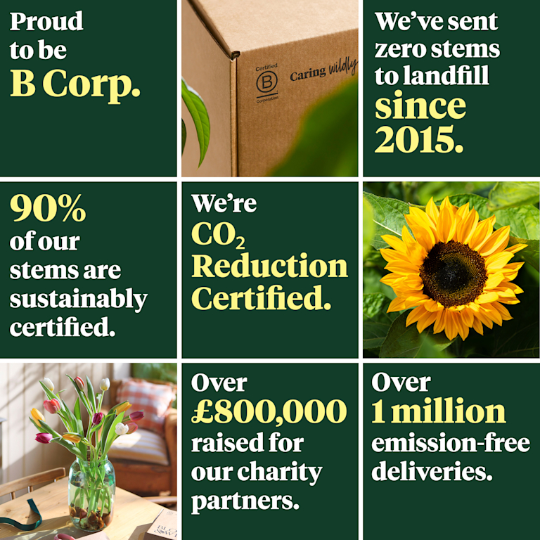 Sustainability stats grid: Proud B Corp, zero landfill waste, 1m emission-free deliveries & £800k for charity. Photos of a branded box, sunny sunflower and colourful tulips illustrate our commitment to caring wildly.