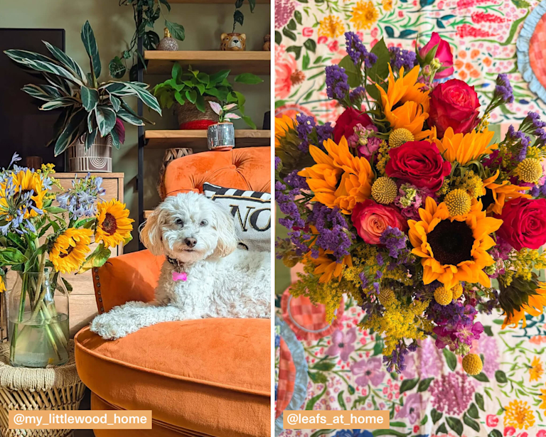 Two bright, summer bouquets. The left shows sunflowers and purple agapanthus in a vase on a table, with a white fluffy dog on a rust-orange sofa. The right, a top-down view of sunflowers, red roses, and purple statice on a colourful patterned tablecloth.