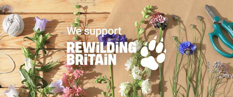 A variety of meadowy stems are lying flat on kraft paper. Overlaid on top are the words: 'We support Rewilding Britain' alongside their logo.