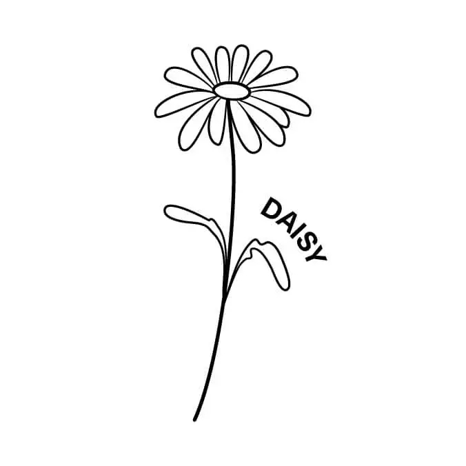 april birth month flower the daisy