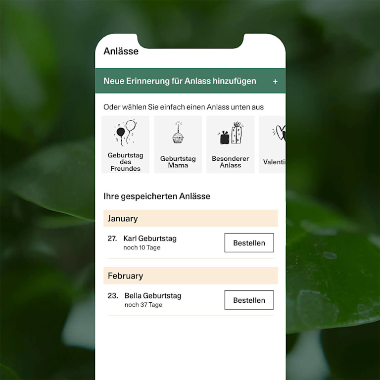 Ein Handybildschirm, auf dem die App zu sehen ist