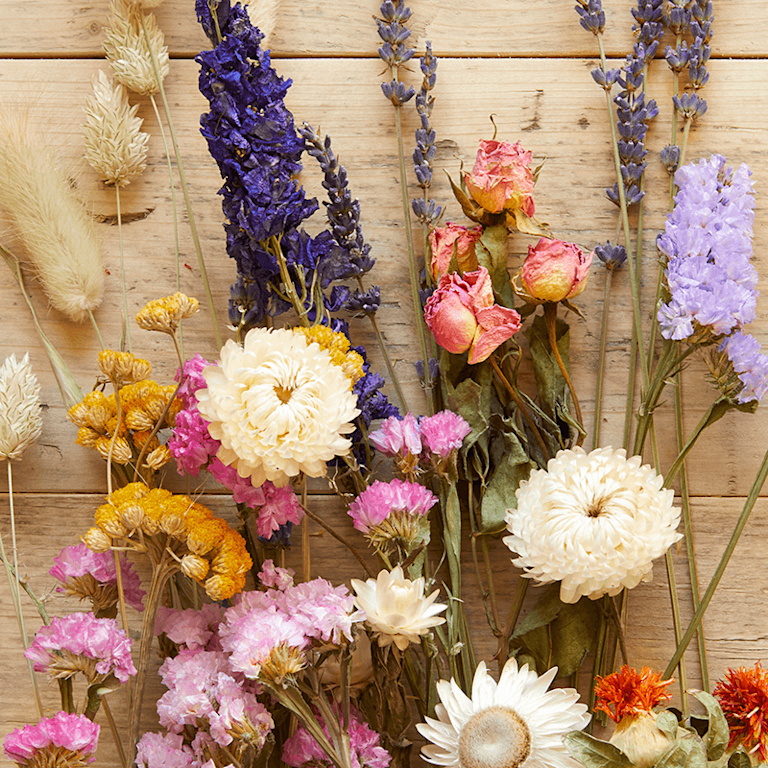selection of dried flower stems