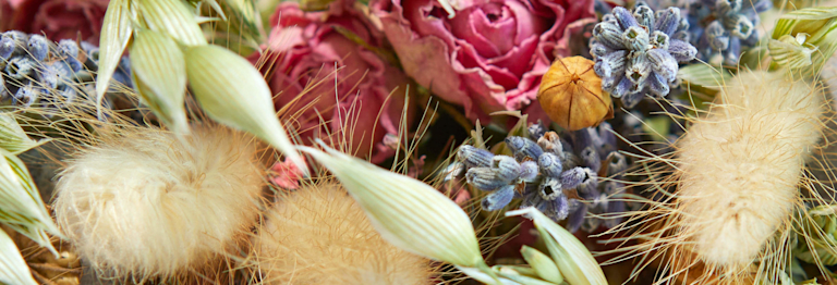 selection of dried flower stems