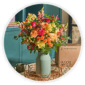 Bouquet of orange, peach and yellow roses and flowers with green foliage in a sage green Bloom & Wild vase, set on a wooden crate outside a teal door.