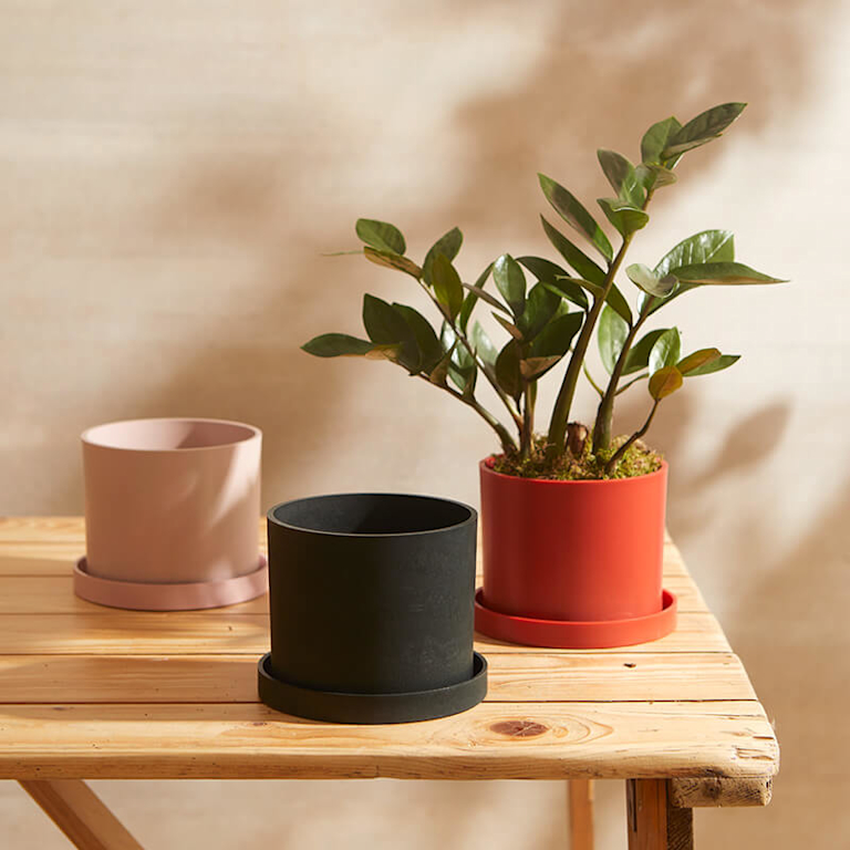 Three pots (in pink, black and red) sit on a wooden table in front of a neutral background. The red pot has a leafy plant in it.