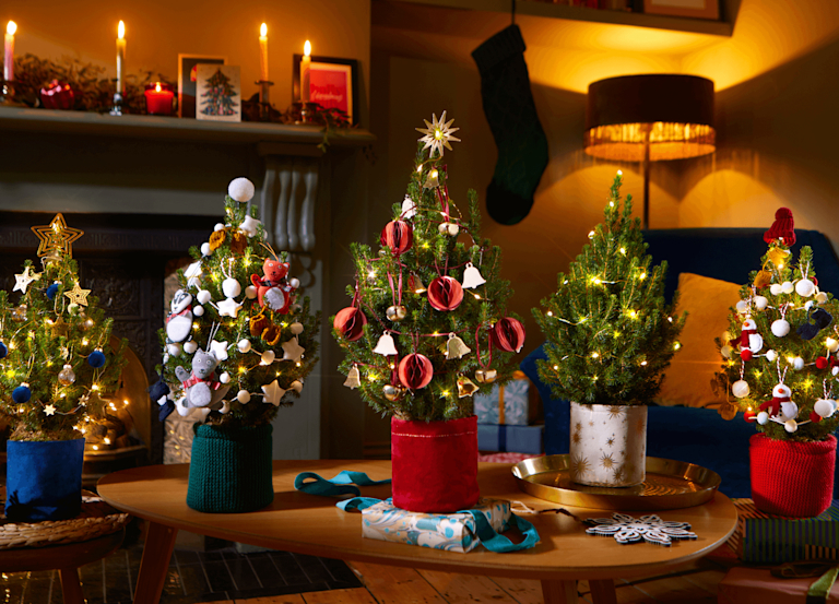 A line-up of five tiny Christmas trees in pots. Each one is decorated in twinkly fairy lights, garlands, and felt pom poms.