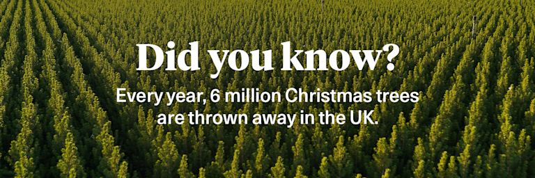 A forest of pine trees. Text over the top says 'Did you know? Every year, 6 million Christmas trees are thrown away in the UK.'