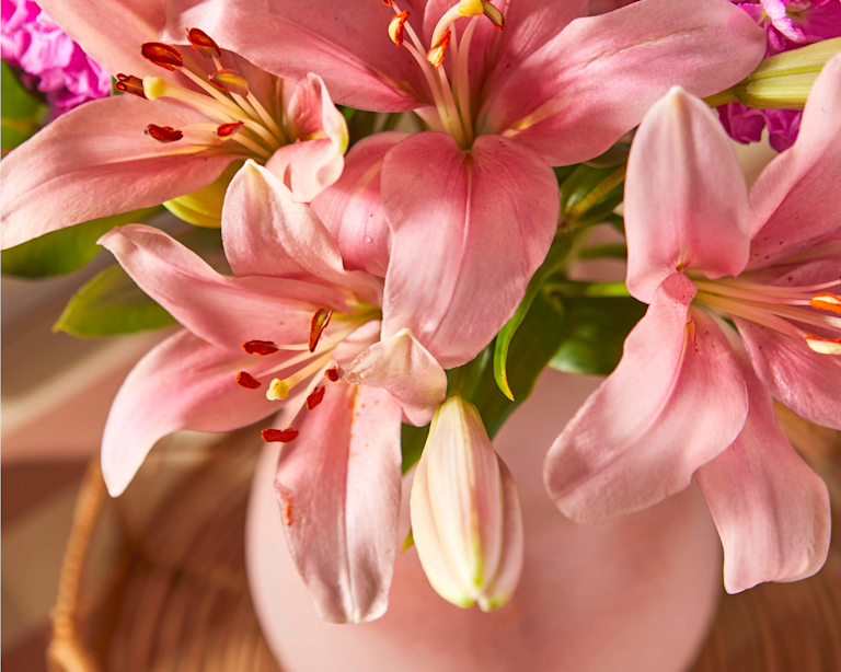 A vibrant close-up of a bouquet of blooming pink lilies in a soft pink vase.
