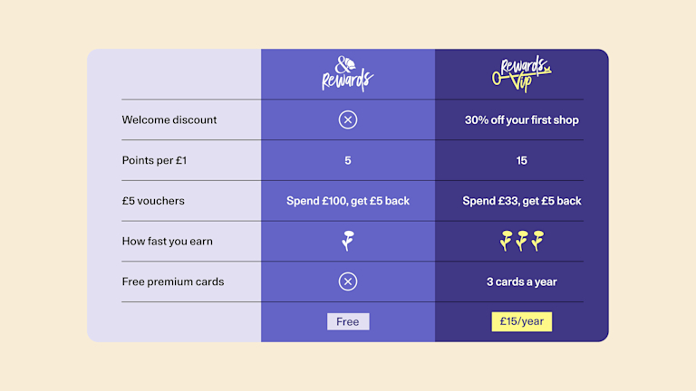 Bloom & Wild Rewards tier comparison. Rewards VIP (£15/year) offers 30% first-shop discount, 15 points per £1, £5 voucher per £33 spend, and 3 free cards. Free Rewards offers 5 points per £1 and £5 voucher per £100 spend.