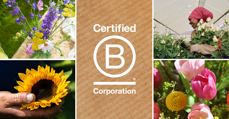 The logo 'Certified B Corporation', next to an image of tulips in a vase and a smiling woman in overalls, a headscarf and gardening gloves with an armful of roses.