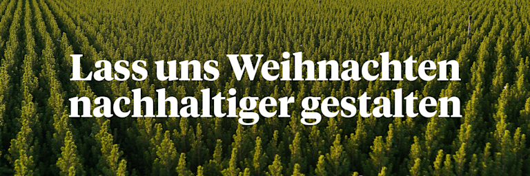 Eine Weihnachtsbaum-Farm aus der Vogelperspektive
