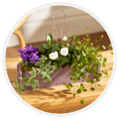 Wooden trough planter filled with purple and white flowers and trailing green foliage, set on a table.