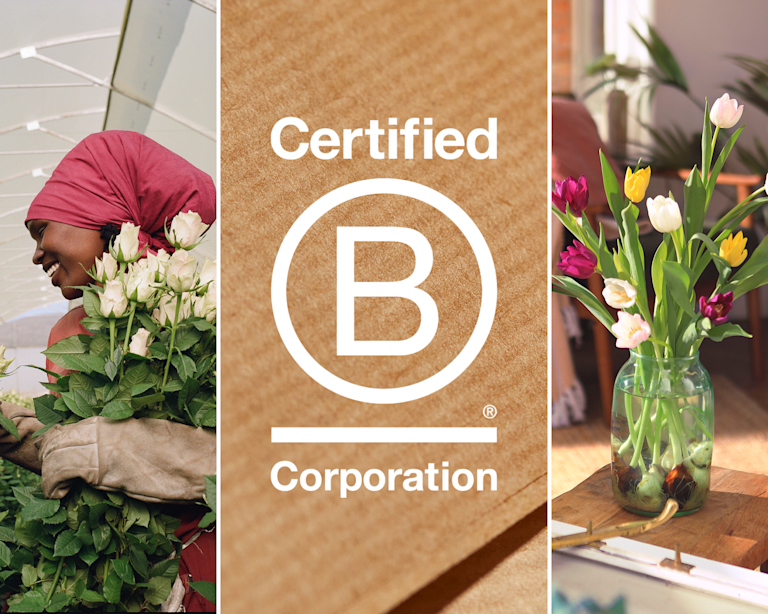 The logo 'Certified B Corporation', next to an image of tulips in a vase and a smiling woman in overalls, a headscarf and gardening gloves with an armful of roses.