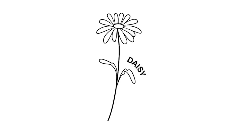april birth month flower the daisy