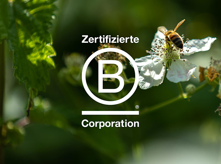 B-corp image